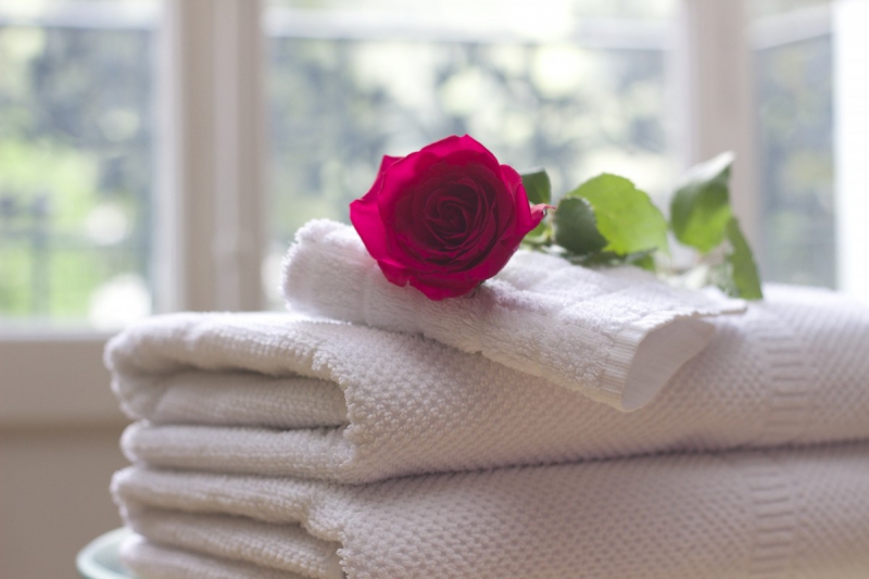 chambre-hote-LA SEYNE SUR MER-min_towel_rose_clean_care_salon_spa_white_bath-731641